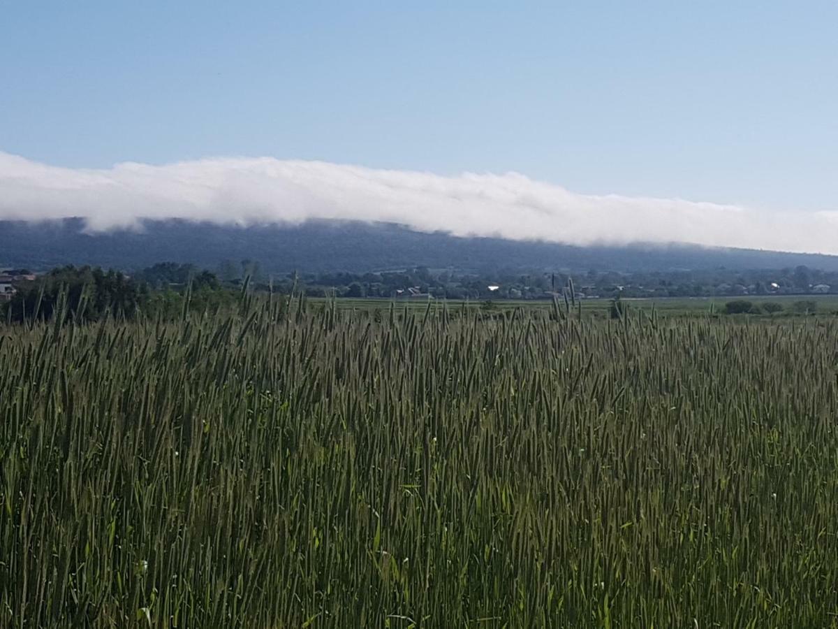 Вилла Mendokowe Ranczo Gorno-Parcele Экстерьер фото